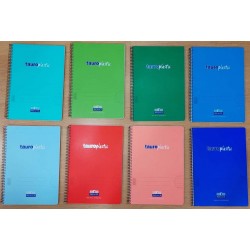 Caderno Espiral TAUROPLASTIC Capa Plástica 80fls 90g Paut